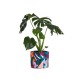 Shadows Planter M