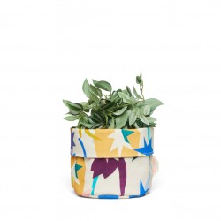 Desert Star Planter Small