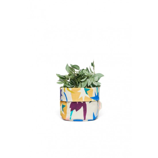 Desert Star Planter Small