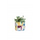 Desert Star Planter Small