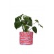 Twister Planter Large