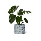 New Leaf Planter Medium