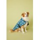 New Leaf Dog coat 60 Cm