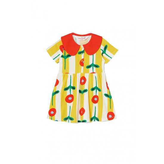 Poppy Baby Collar Dress