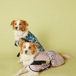 Snakes And Ladders Dog coat 60cm