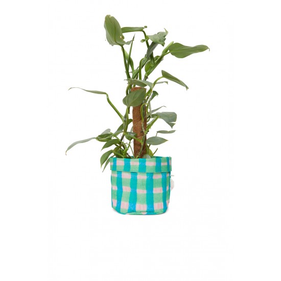 Raindance Planter Medium