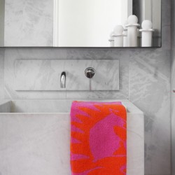 Proteas Hand Towel