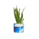 Blue Depths Planter Medium