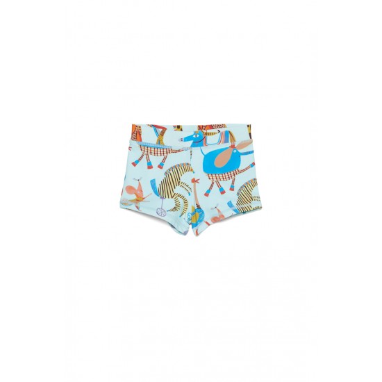 Carnival Swim Shorts