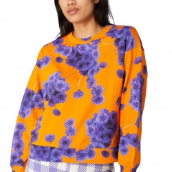 Cornflower Sweater