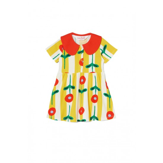 Poppy Baby Collar Dress