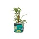 Nightscape Planter Large