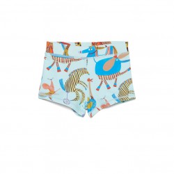 Carnival Swim Shorts