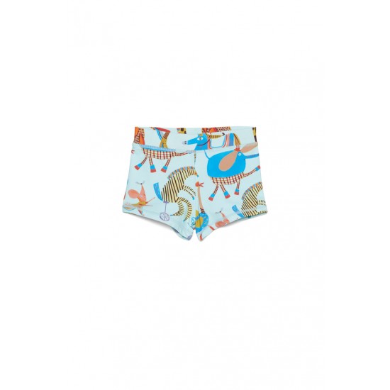 Carnival Swim Shorts