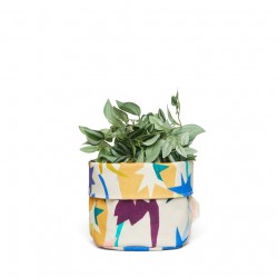 Desert Star Planter Small